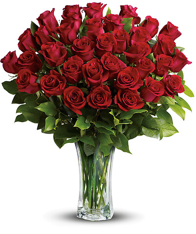 Love and Devotion - Long Stemmed Red Roses